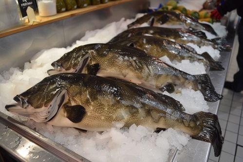 生鲜海鲜水产鳕鱼食材 摄影图